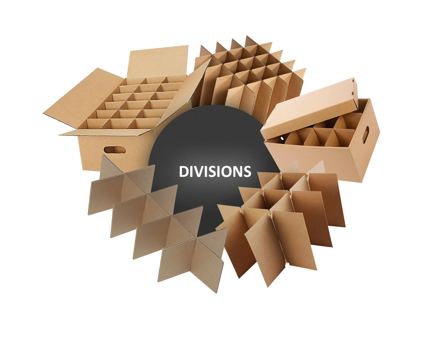 DIVISIONS